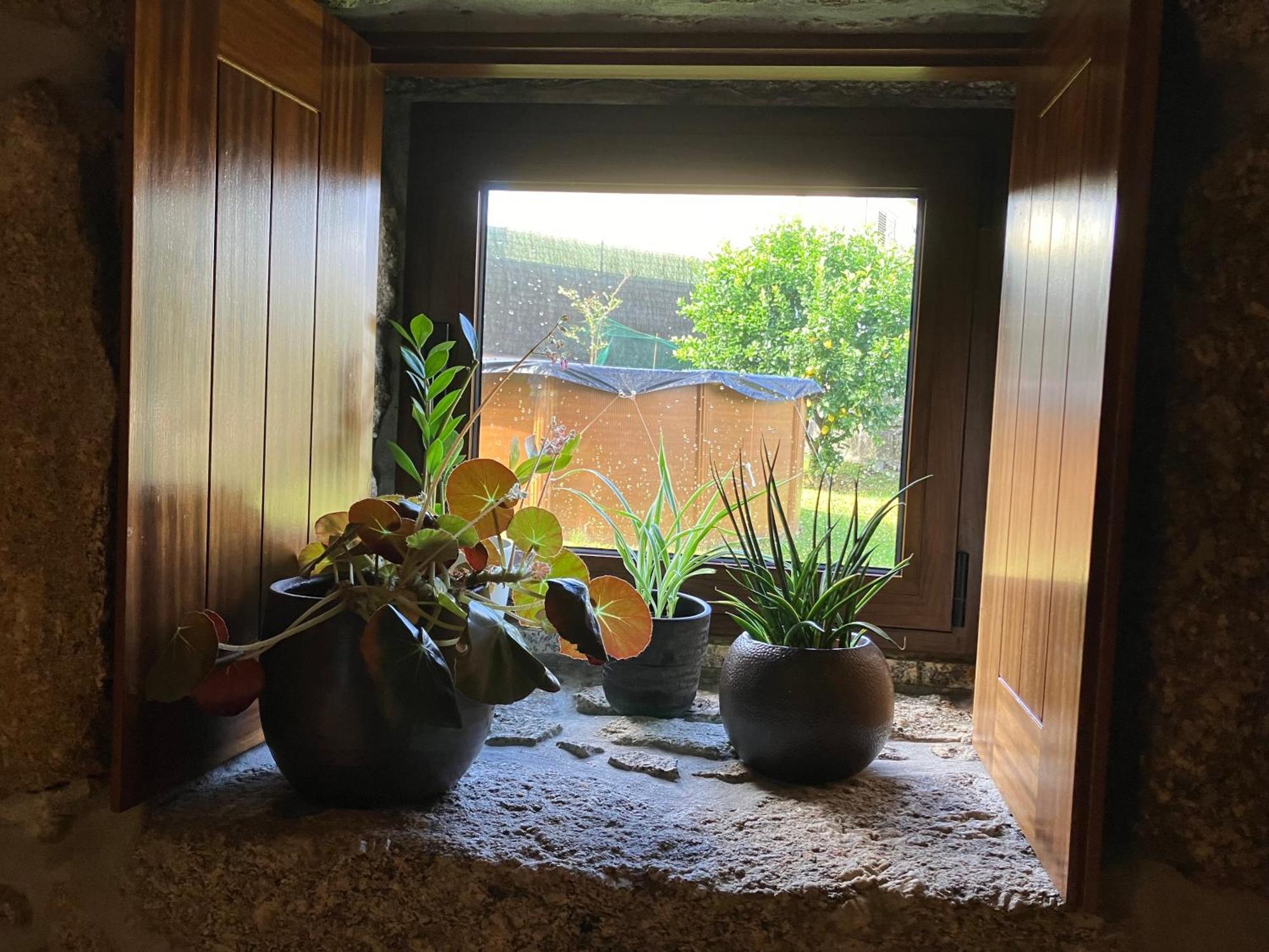 Bergui Guesthouse - Em Guimaraes Desde 2017 Kültér fotó